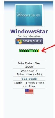 WindowsStar_Gold_pip.JPG