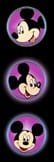 Micky.jpg
