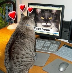 Hearts 4.jpg Hearts 4.jpg