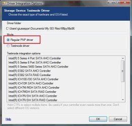 Driver Integration Options.jpg