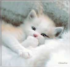 joan2.gif joan2.gif