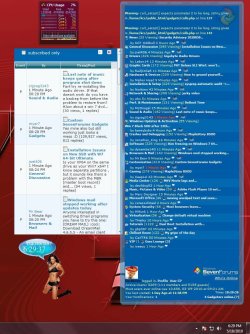 Gadget_error_coding_5_18_2010.JPG