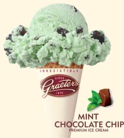 mint_chocolate_chip.jpg
