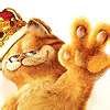 garfield one.jpg garfield one.jpg