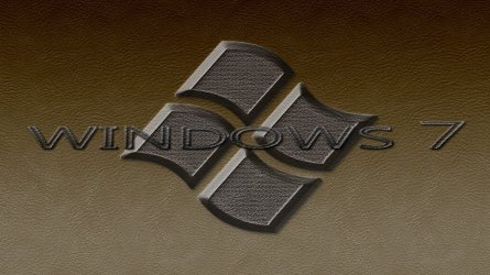 New windows wall.jpg