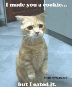 cute-cat-cookie.JPG cute-cat-cookie.JPG