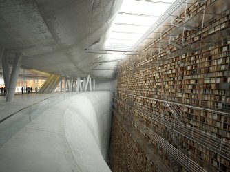 d06iv.jpg