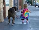 dogwalk.jpg dogwalk.jpg