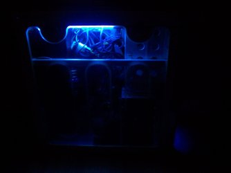 100_0593.jpg
