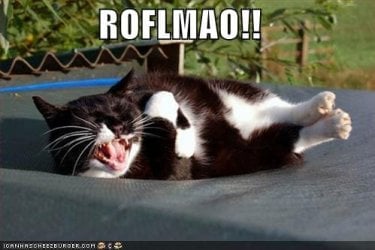 BeBe_roflmao128629864358935877.jpg