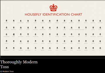 houseflyidchart.PNG