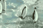 a1jpg.gif