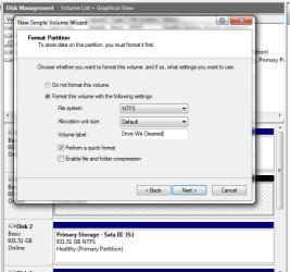 DiskPart New Volume Format Label.jpg