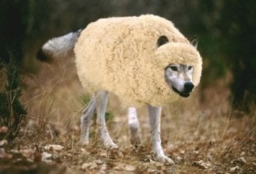 wolf-liberal-minnick-is-sheepdisguise-posing-as-conservative.jpg