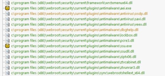 webroot processes.jpg