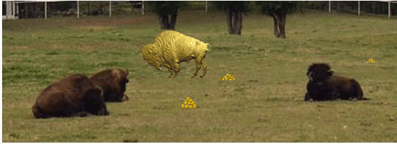 Gold%20on%20the%20range.png