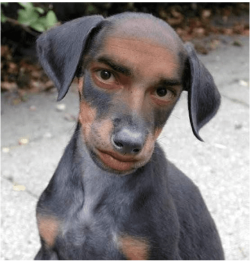 Capture.PNG