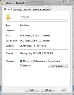 windows.JPG