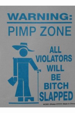 Pimp_Zone.jpg Pimp_Zone.jpg
