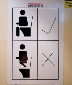 toilet-instructions.jpg toilet-instructions.jpg