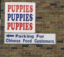 signs-3.jpg