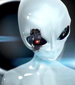 Alien_Terminator.jpg