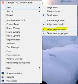 desktop icons.JPG desktop icons.JPG