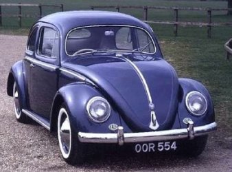 vwbug.JPG
