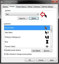 Pointers.jpg Pointers.jpg
