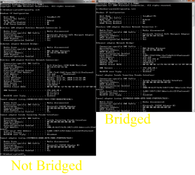 Bridge versus Unbridged.png