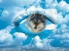 eye3.jpg eye3.jpg
