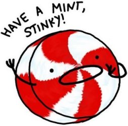minty-fresh.jpg minty-fresh.jpg