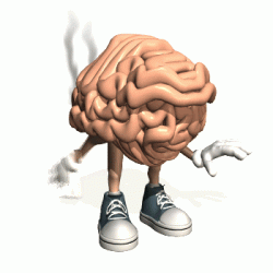 Brain fart.gif