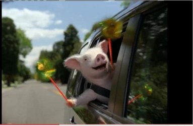 Geiko_Piggie.JPG