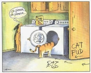 cat fud.jpg