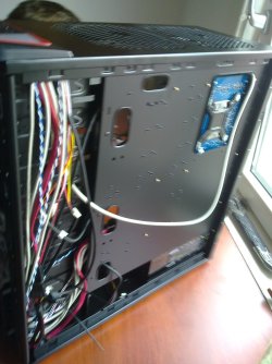 29082010010.jpg