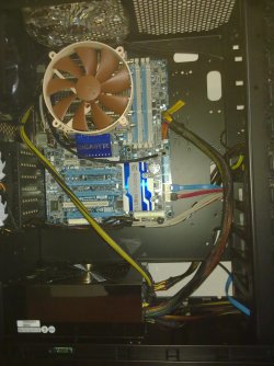 29082010022.jpg