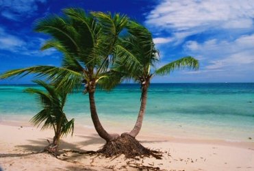 lomanibeach2.jpg