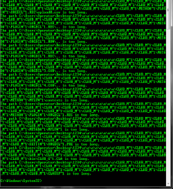 Command prompt result.png