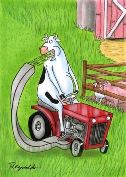 cowgrass.jpg cowgrass.jpg