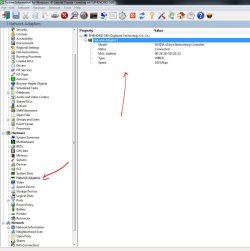 siw_network_adpt.JPG