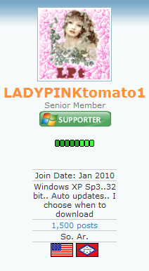 lady.PNG