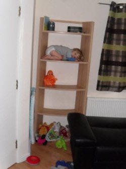 SAM_0013.JPG