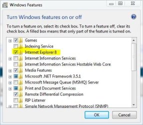 IE8.JPG