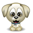 Puppy2.gif Puppy2.gif