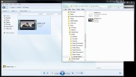 WMP Sample Video.jpg