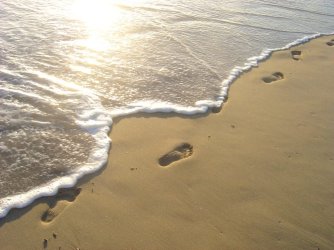 FootprintsInTheSand.jpg