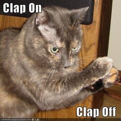 funny-pictures-cat-clap-on.jpg funny-pictures-cat-clap-on.jpg