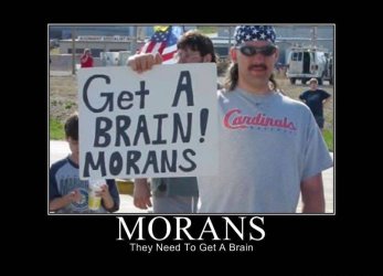 brain.jpg