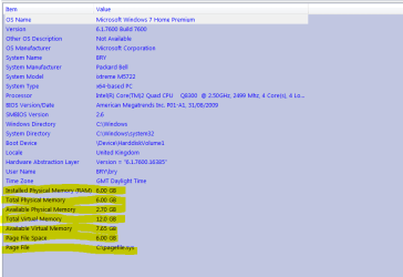 brys system info.PNG